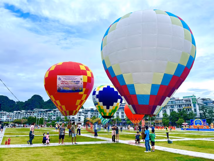 The festival attracts diverse visitors.