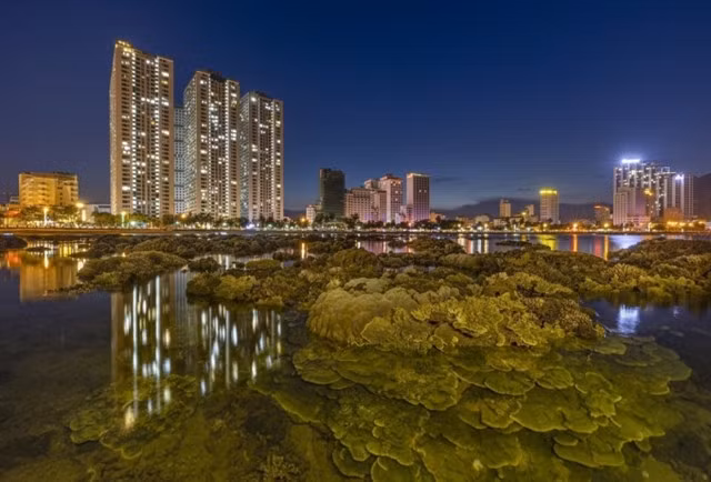 A photo titled 'Natural vitality in the heart of the coastal city' wins the Grand Prize at the ASEAN SX Photo Contest 2024. — Photo Hồ Trung Lâm