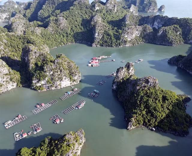 A corner of Hạ Long Bay.—VNA/VNS Photo Đức Hiếu