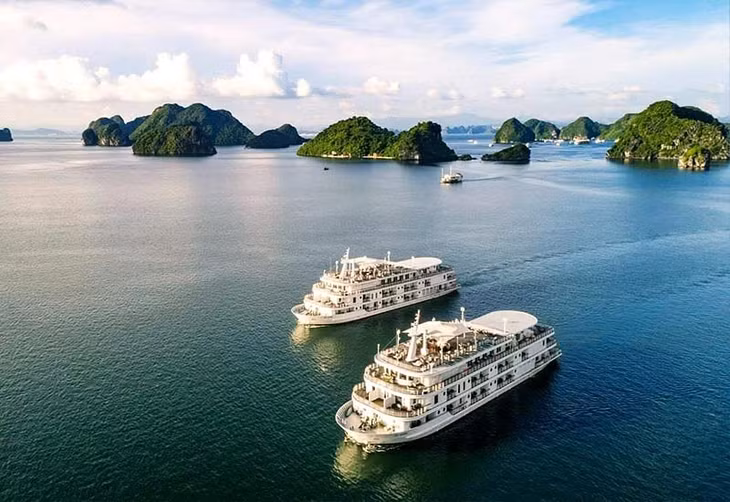 Cruise tours in Ha Long Bay are scheduled to be canceled from 11am on September 6 (Ilustration photo)