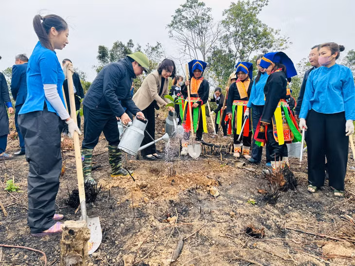 The authorities and local people planted new trees in Ba Che district.