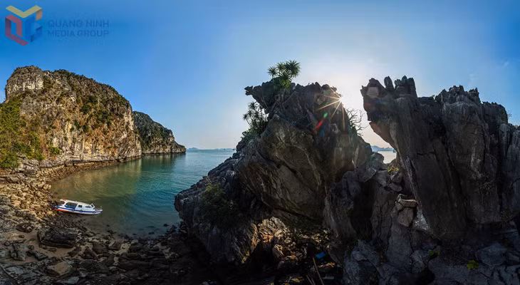 Admiring a “Stone Museum” in the heart of Ha Long Bay ảnh 5