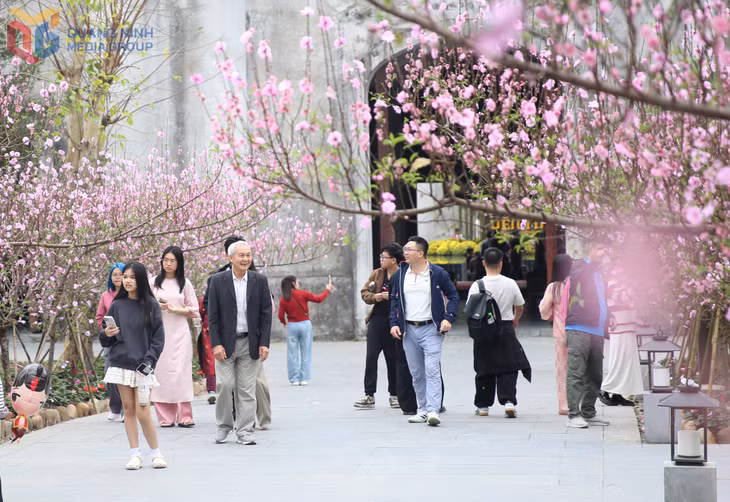 Early spring pilgrimage to Yen Tu Sacred Mountain ảnh 3