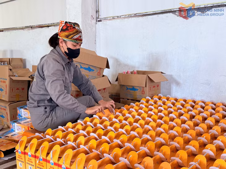 Packaging of Cai Rong fish sauce products ahead of 2026 Lunar New Year