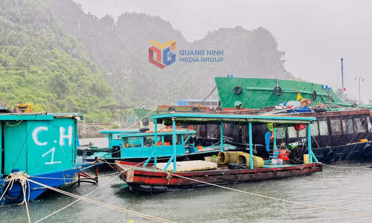 Tàu thuyền về nơi tránh trú bão tại khu vực Vũng Đục, phường Cẩm Phả.