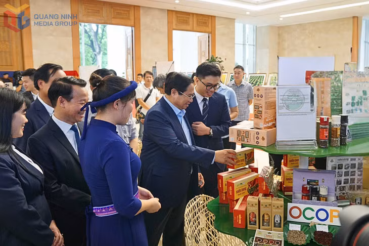 Binh Lieu vermicelli, a 5-star OCOP product of Quang Ninh, was selected for display at the National Target Program review conference, highlighting the growing recognition of Quang Ninh’s OCOP brand.