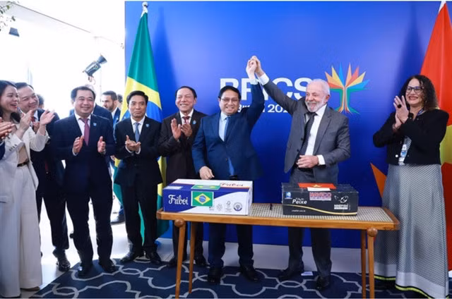 The two leaders witness the ceremony to announce the first export shipment of Vietnamese pangasius and tilapia to Brazil and the first export shipment of Brazilian beef to Việt Nam. — VNA/VNS Photo
