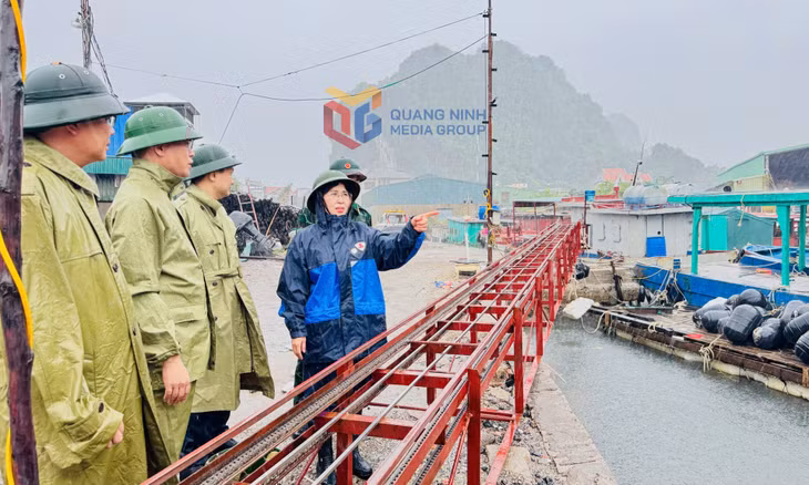 Đồng chí Trịnh Thị Minh Thanh, Phó Bí thư Thường trực Tỉnh uỷ, Chủ tịch HĐND tỉnh, kiểm tra công tác phòng, chống bão tại khu vực Vũng Đục, phường Cẩm Phả.