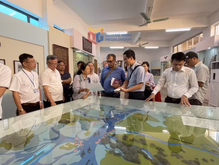 Experts conduct an assessment of the Bach Dang relic site in Quang Ninh.