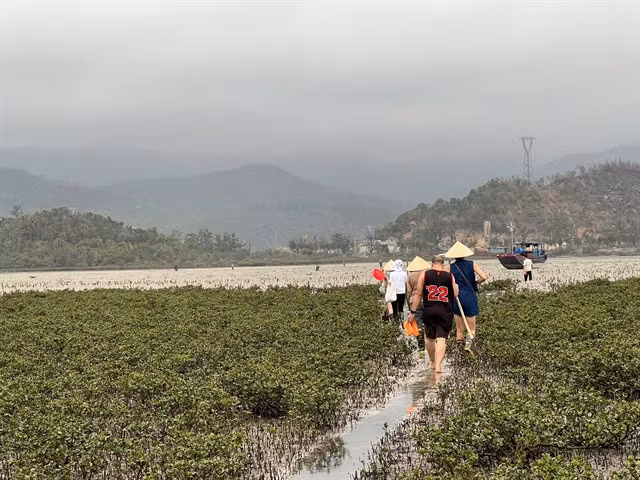 Tourists wade through shallow waters en route to dig peanut worms, a nutrient-rich marine delicacy. Photo courtesy of Phương Anh