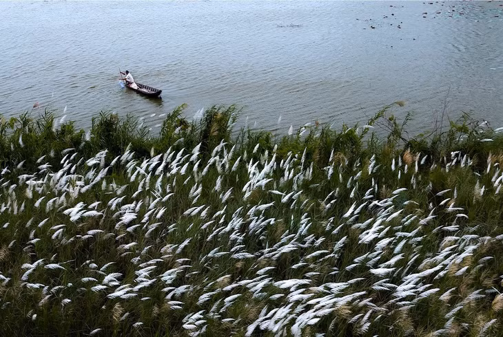 Mekong Delta province exudes charm amid annual flooding season ảnh 9 Mekong Delta province exudes charm amid annual flooding season