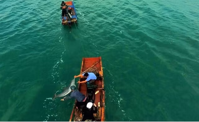 Phạm Hữu Tuấn, an employee of the Cô Tô District Public Service Centre, and two local fishermen Vũ Hữu Khoa and Khuất Tuấn Anh, released the dolphin back into the sea where the water is deeper. — VNA/VNS Photo