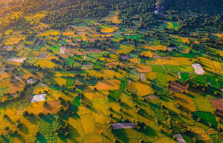 Mekong Delta province exudes charm amid annual flooding season ảnh 2 Mekong Delta province exudes charm amid annual flooding season