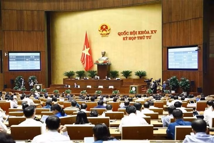 At the NA working session (Photo: VNA)