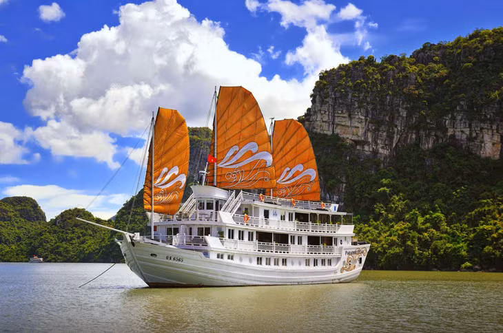 According to Paradise Vietnam's representative, the boutique Paradise Sails and Paradise Peak cruise ships have pioneered high-class entertainment at the heritage site.