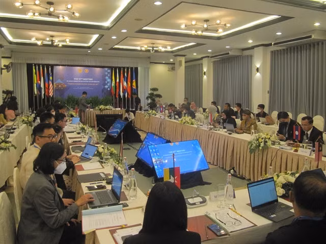 Participants from ASEAN countries share their experiences in digital transformation at the ASEAN Culture and Information Committee Meeting in central Quảng Nam Province's Hội An City.