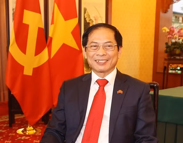 Minister of Foreign Affairs, member of the Party Central Committee, Bùi Thanh Sơn. — VNA/VNS Photo Trí Dũng