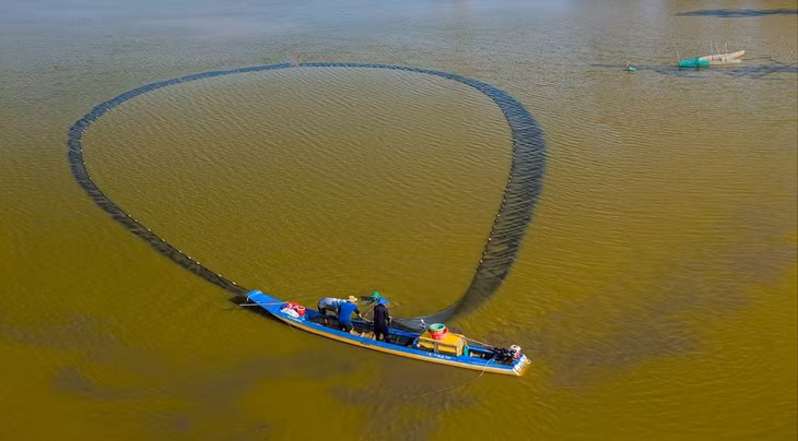 Mekong Delta province exudes charm amid annual flooding season ảnh 11 Mekong Delta province exudes charm amid annual flooding season