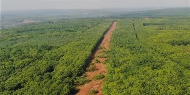 A former runway of the Hớn Quản military airport in Bình Phước Province. — VNA/VNS Photo Sỹ Tuyên