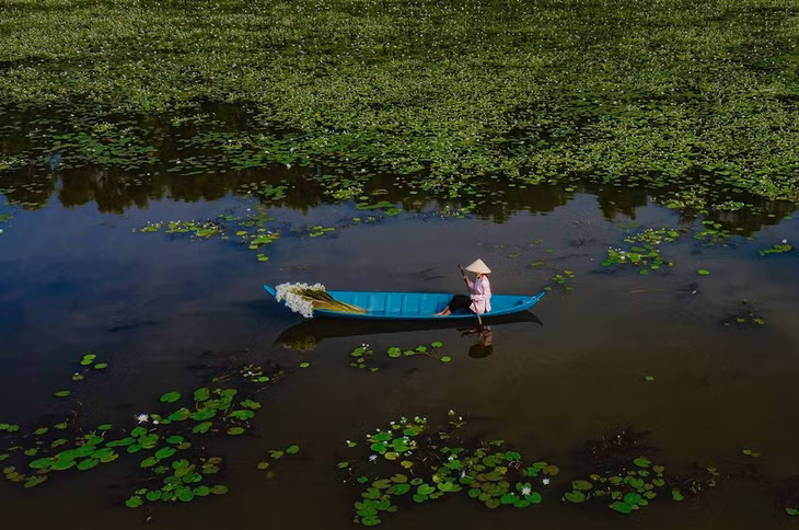 Mekong Delta province exudes charm amid annual flooding season ảnh 8 Mekong Delta province exudes charm amid annual flooding season
