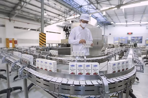 A Vinamilk production line. The dairy producer always comes high on the list of VNSI green stocks over the past five years. Photo baodautu.vn