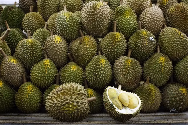 Durian is considered King fruit and specialty of Việt Nam's southern region. Photo mytour.vn