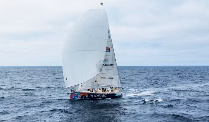 Ha Long Bay, Viet Nam with some welcome visitors on the final race of the Clipper 2023-24 Race (Photo: clipperroundtheworld.com)