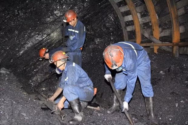 Energy transition creates golden opportunity to improve social security: ILO official hinh anh 2
