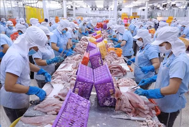 ADB projects Vietnam’s 2024 GDP growth at 6% hinh anh 2