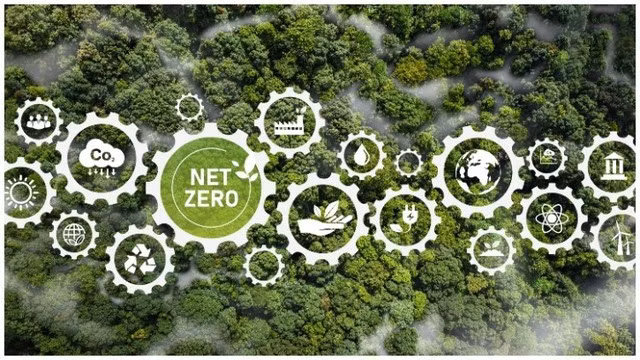 Viet Nam can integrate decarbonization efforts to advance development: WB ảnh 1