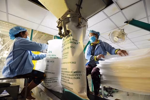 Workers pack rice for export. (Photo: VNA)