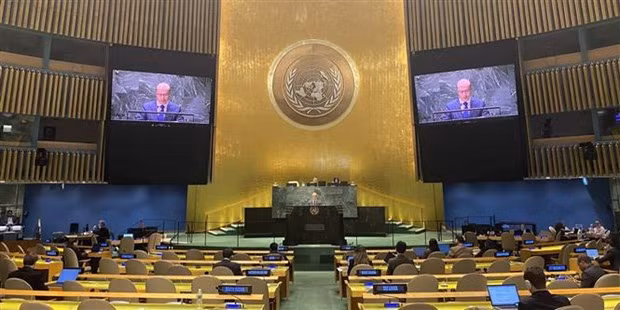 Vietnam supports reform of UN Security Council hinh anh 1