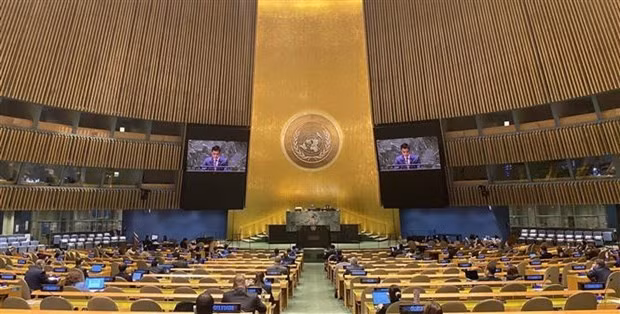 Ambassador Dang Hoang Giang, Permanent Representative of Vietnam to the United Nations speaks at a debate on the 2022 annual report of the IAEA at the UN General Assembly on November 8-9. (Photo: VNA)