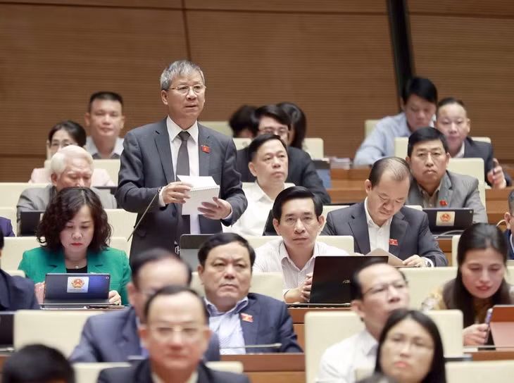NA deputy Nguyen Anh Tri from Hanoi speaks at the session. (Photo: VNA)