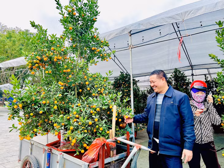 The flower fair in Uong Bi city