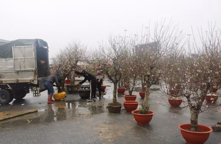 The fair in Mong Cai city