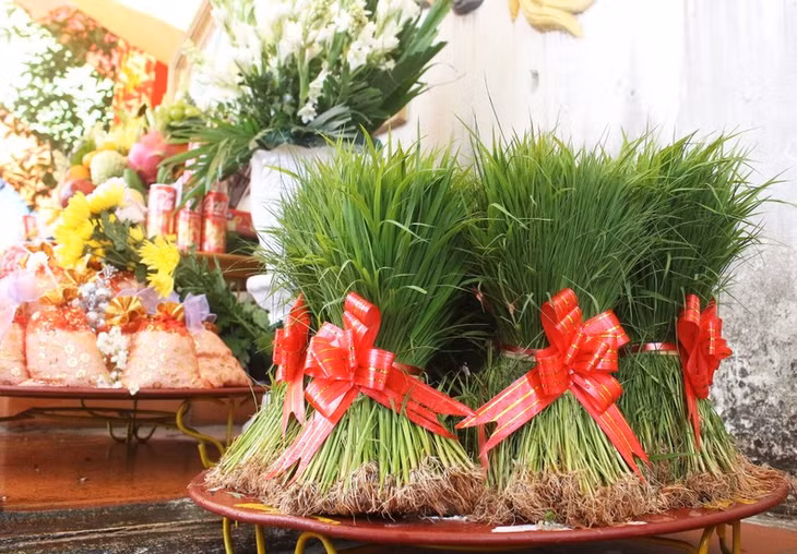 The lush bunches of rice seedlings are chosen by the local people to recreate the Hung Kings’ teachings on rice cultivation.