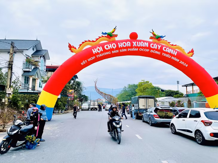 Spring flower fair in Dong Trieu town