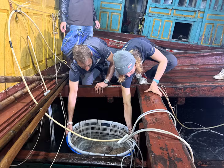 They caught fresh cuttlefishes on a fishing boat.