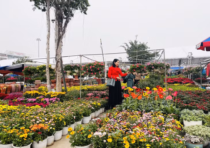 There are also various kinds of flowers with countless colors.
