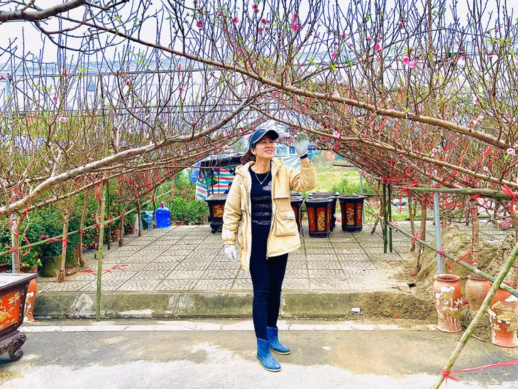 The colour of spring ảnh 3 The colour of spring ảnh 3