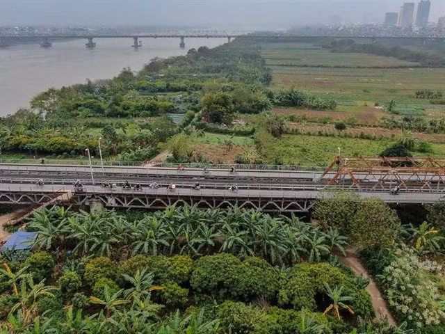 Mudflats in the middle of Red River are mostly used to grow vegetables. — VNA/VNS Photo