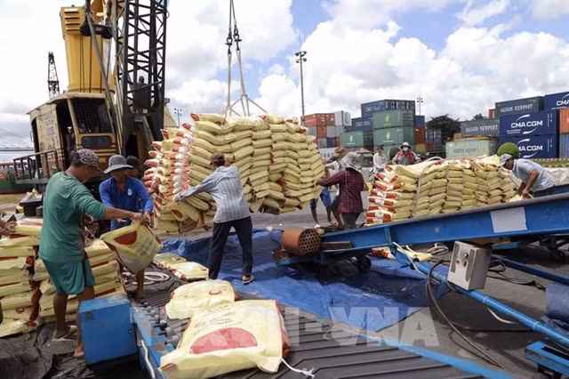 Việt Nam is said to be an important trade partner and a major customer of Argentina's agricultural industry. VNA/VNS Photo