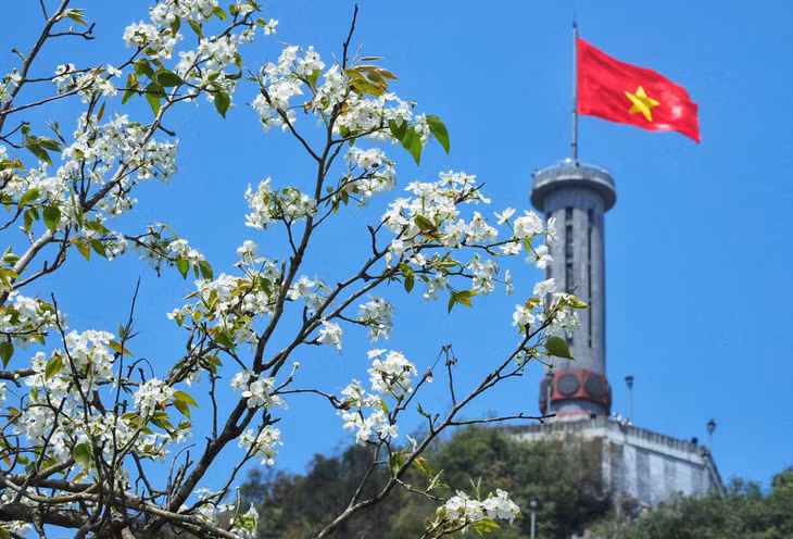 Spring's palette unveils Ha Giang's blooms