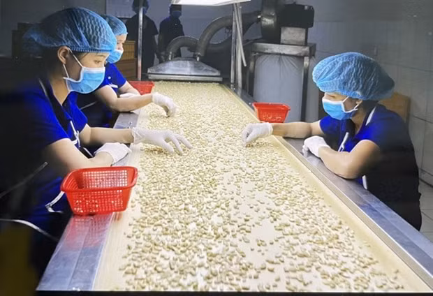Vietnamese economy forecast to expand at 5.5 % in Q1 hinh anh 1