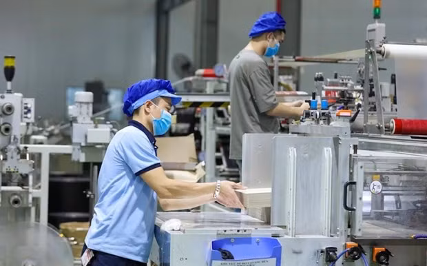 Over 22,100 new businesses established in two months hinh anh 1