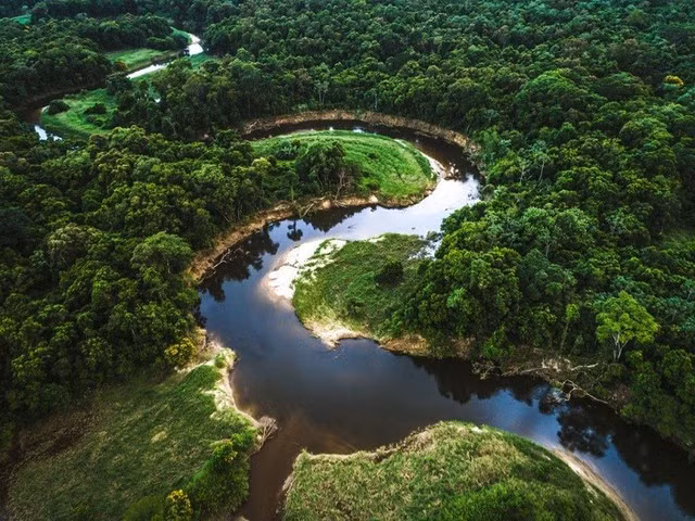 Gov't approves Project on multi-use values of forest ecosystem - Ảnh 1.
