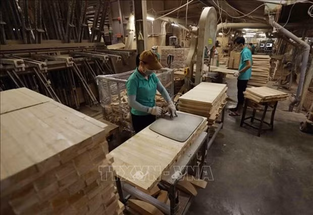 Wood, furniture industry advised to improve added value hinh anh 1