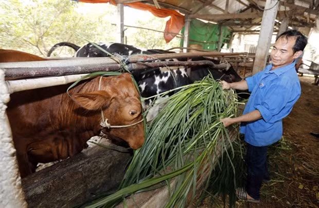 Vietnam has over 1.58 million poor, near-poor households in 2023: Ministry hinh anh 1