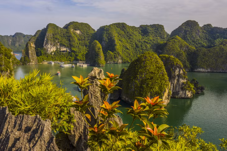 A corner of Ha Long bay